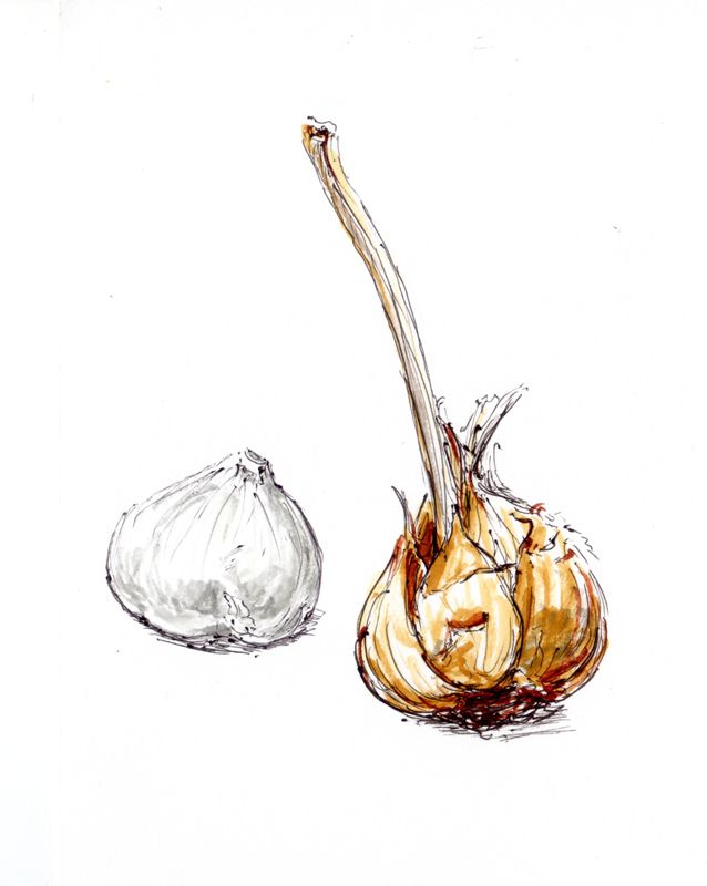 Wild garlic