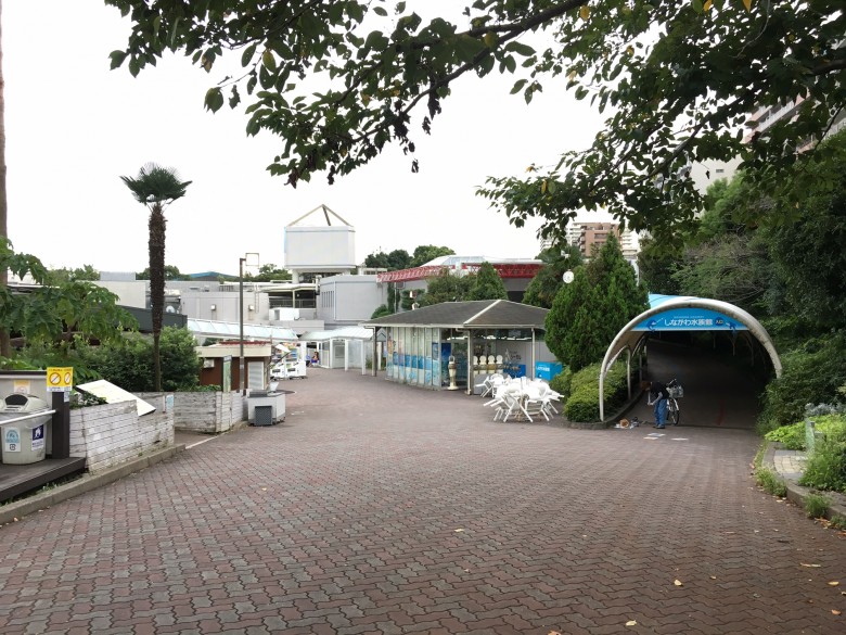 しながわ水族館